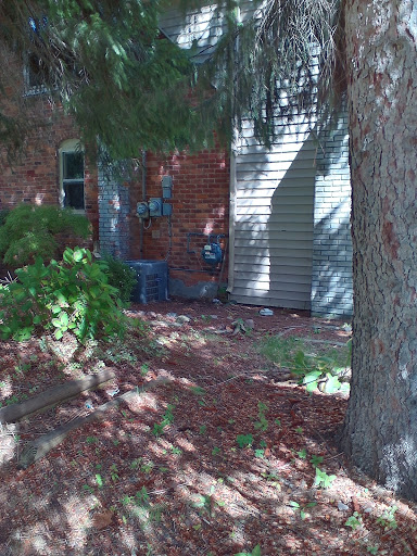 Park «Rotary Park», reviews and photos, 32465 Marquette St, Garden City, MI 48135, USA