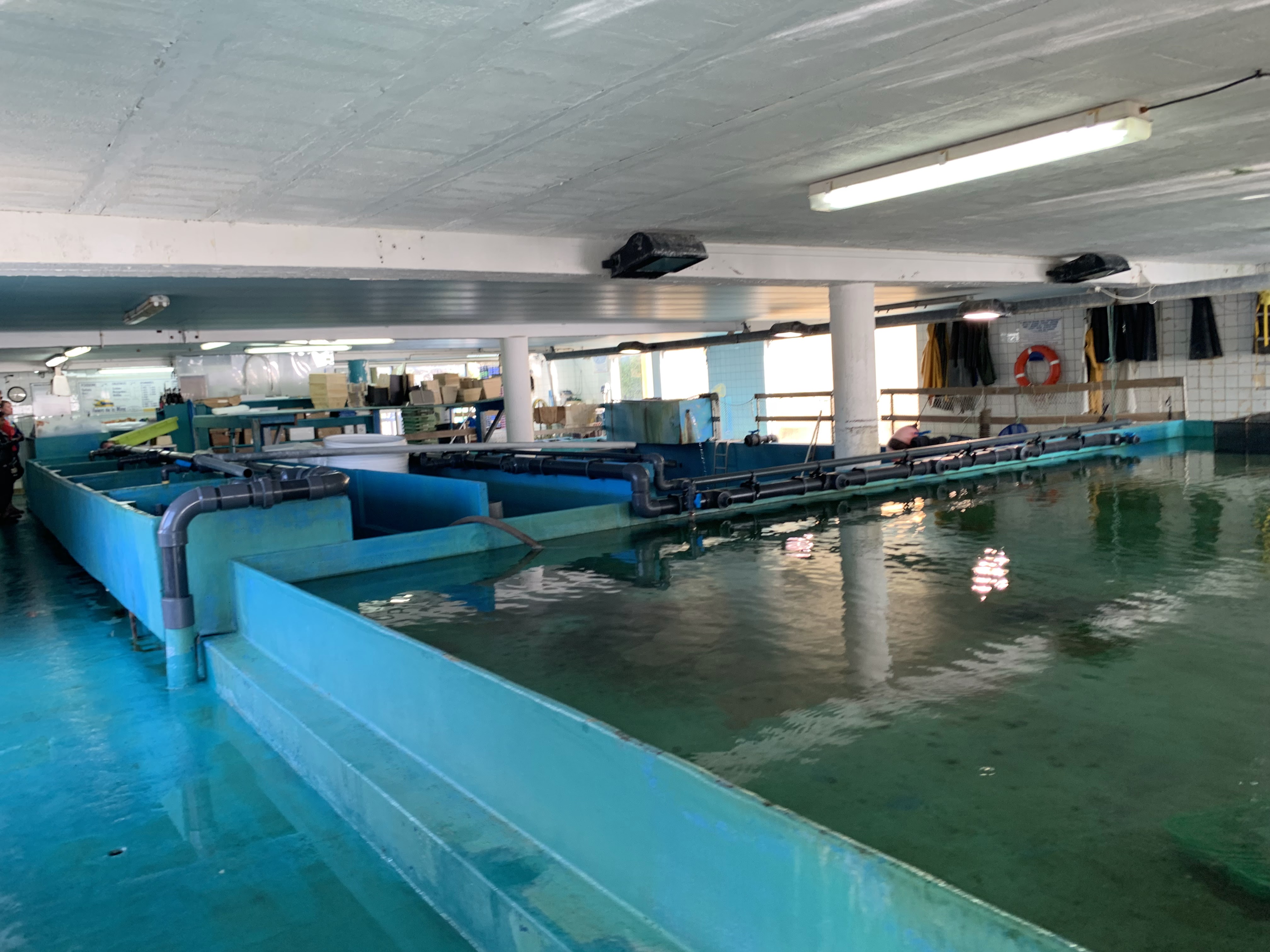 Photo n° 7 de l'avis de 2JK.G fait le 15/09/2019 à 09:36