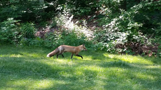 Country Club «Heritage Country Club», reviews and photos, 85 Sampson Rd, Charlton, MA 01507, USA