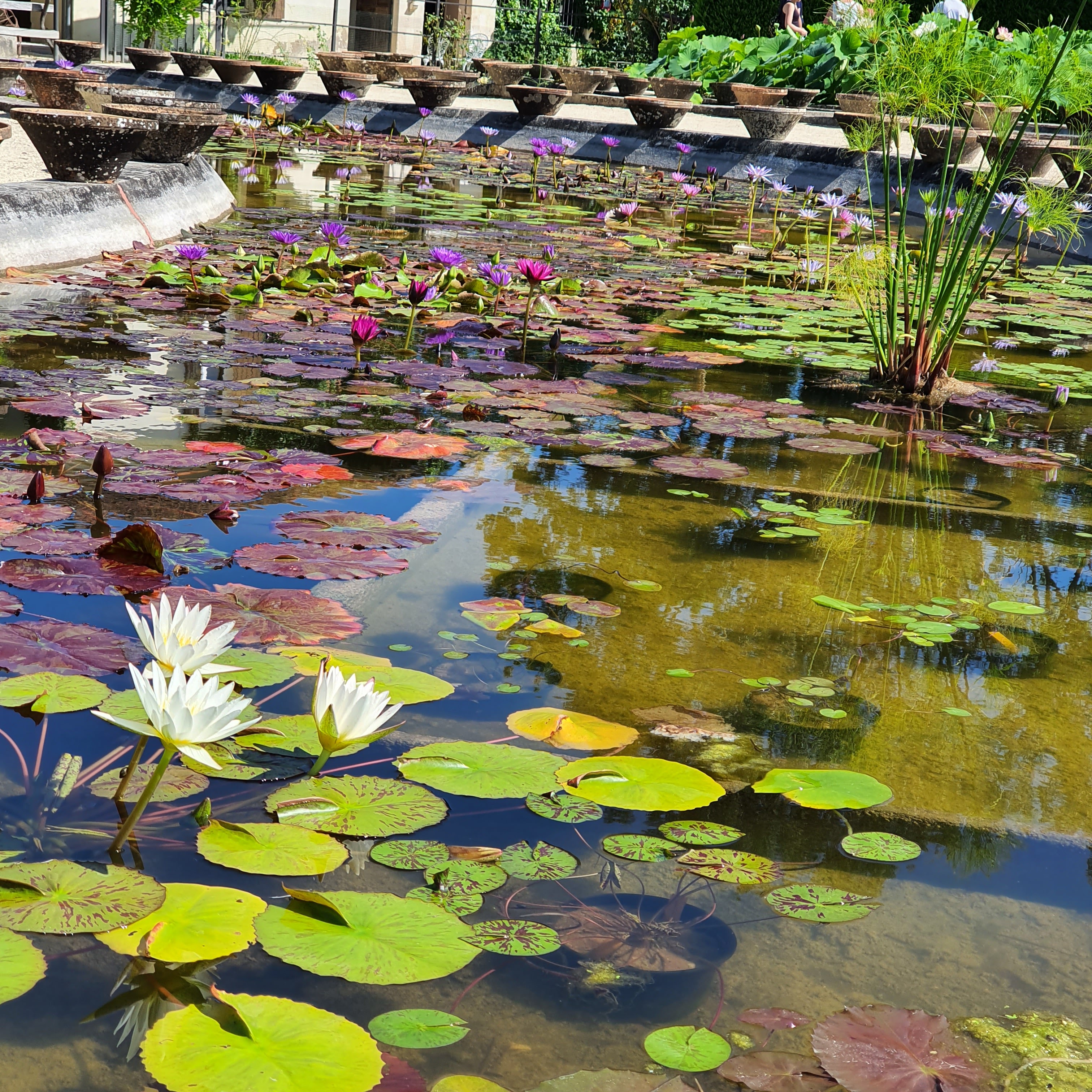 Photo n° 3 de l'avis de Guillaume. fait le 11/07/2021 à 10:11