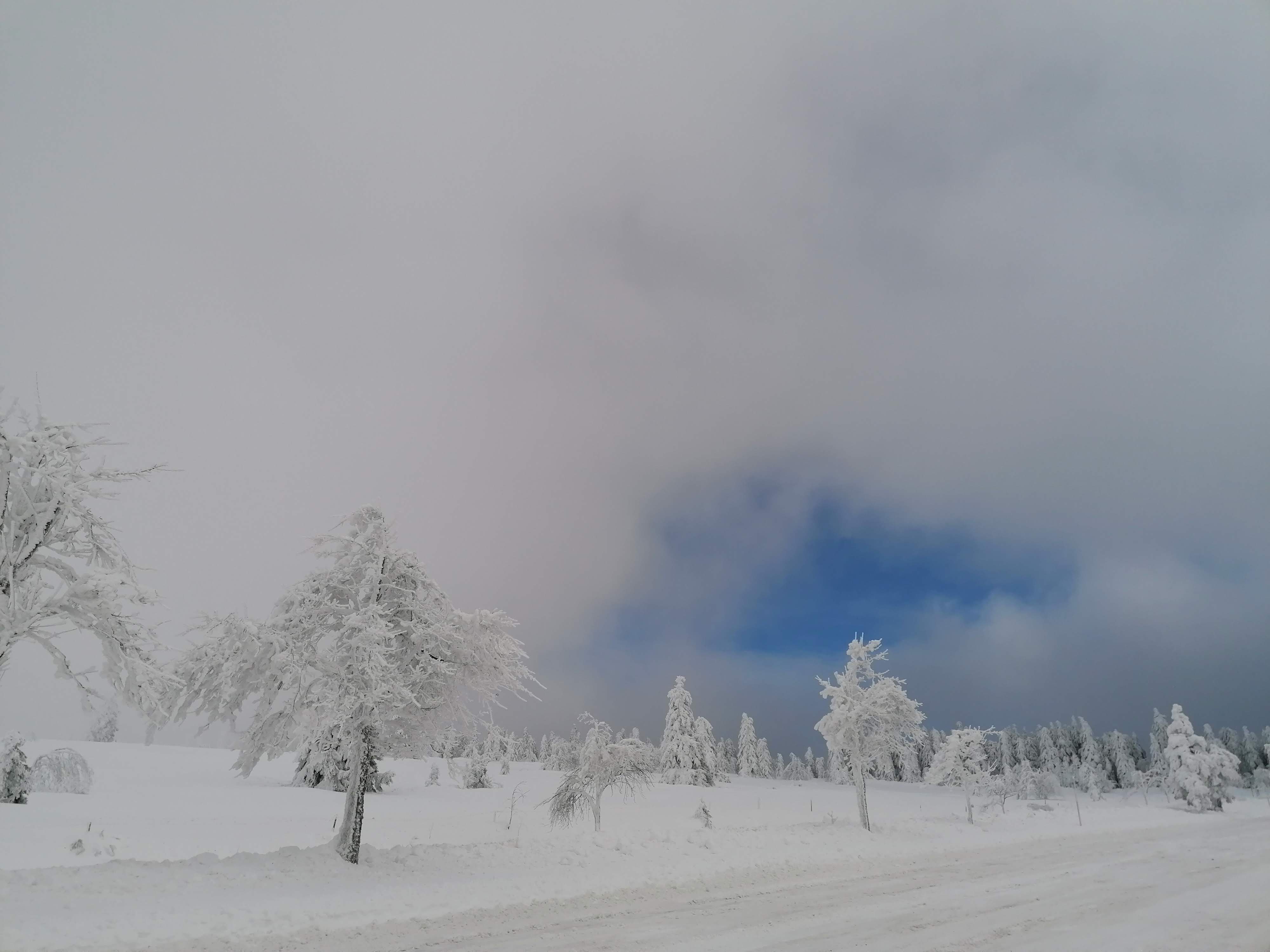 Photo n° 14 de l'avis de sumrak78. fait le 30/12/2020 à 15:39