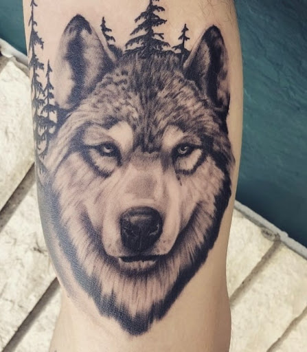 Explore bull skull tattoo ideas, creative tattoo ideas in Galena, available at Emerald Buddha Tattoo