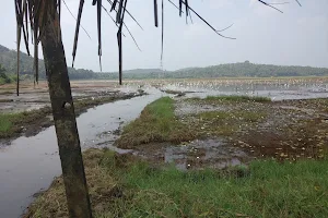 Kandan Chira Birders Point Meppayur image