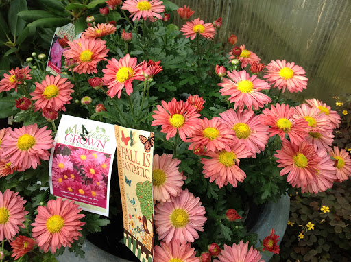 Garden Center «Victoria Gardens», reviews and photos, 1 Cottekill Rd, Rosendale, NY 12472, USA