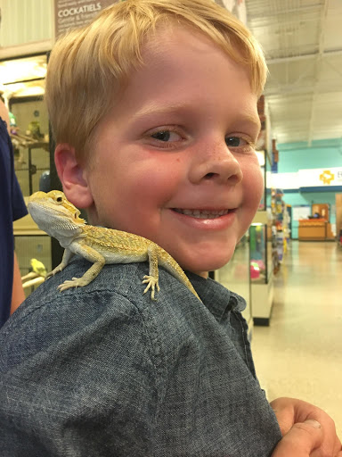 Pet Supply Store «PetSmart», reviews and photos, 5591 TN-153, Hixson, TN 37343, USA