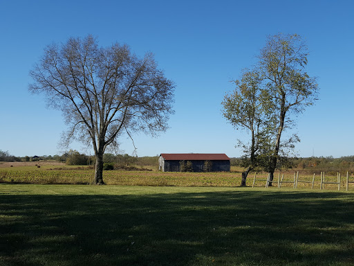 American Restaurant «Jean Farris Winery & Bistro», reviews and photos, 6825 Old Richmond Rd, Lexington, KY 40515, USA