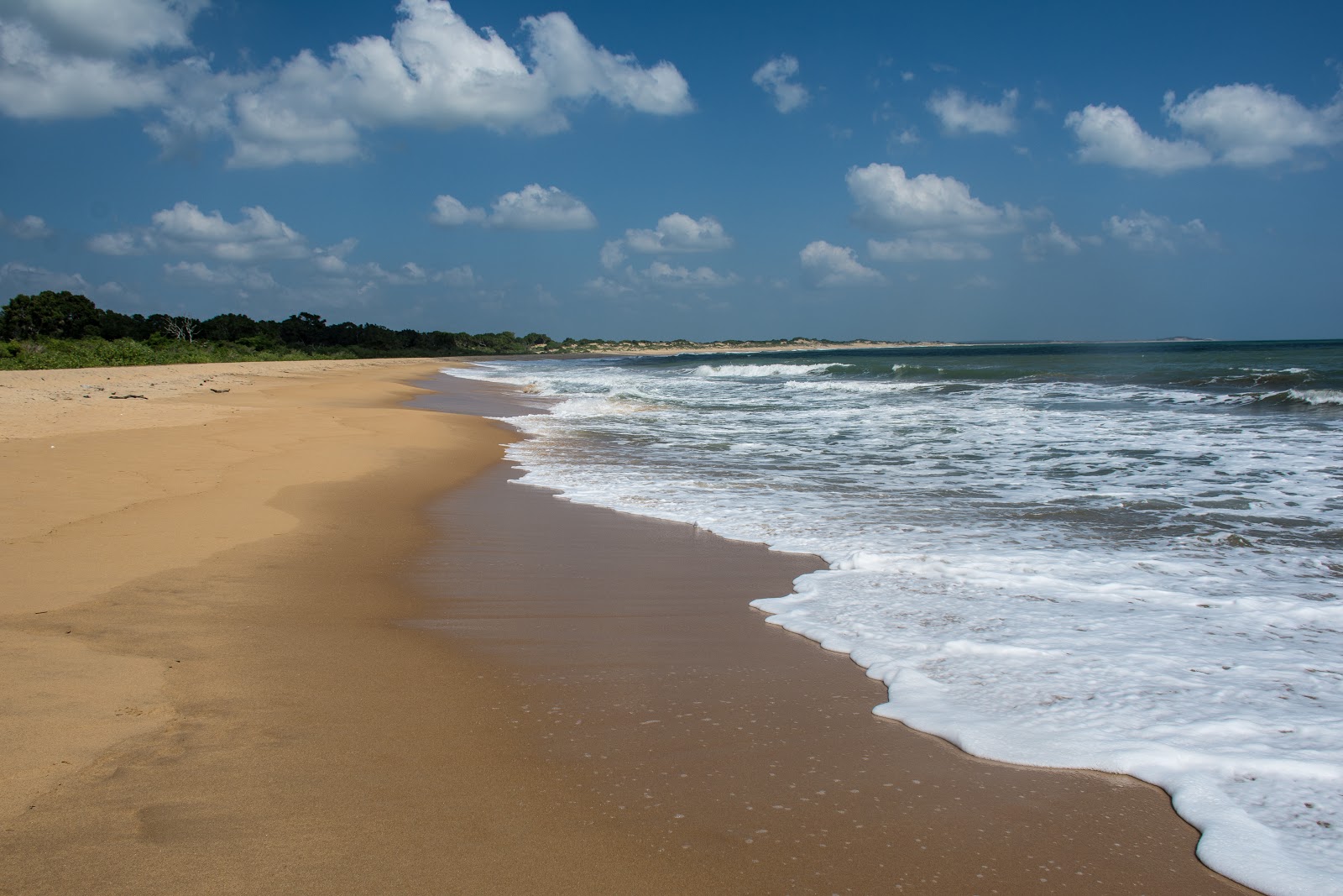Foto von Yala Beach mit lange bucht