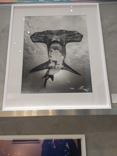 Book Store «TASCHEN Store New York», reviews and photos, 107 Greene St, New York, NY 10012, USA