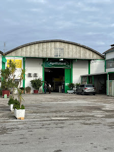 Agrifutura srl Viale Giuseppe Verdi, 4, 84090 Montecorvino Pugliano SA, Italia