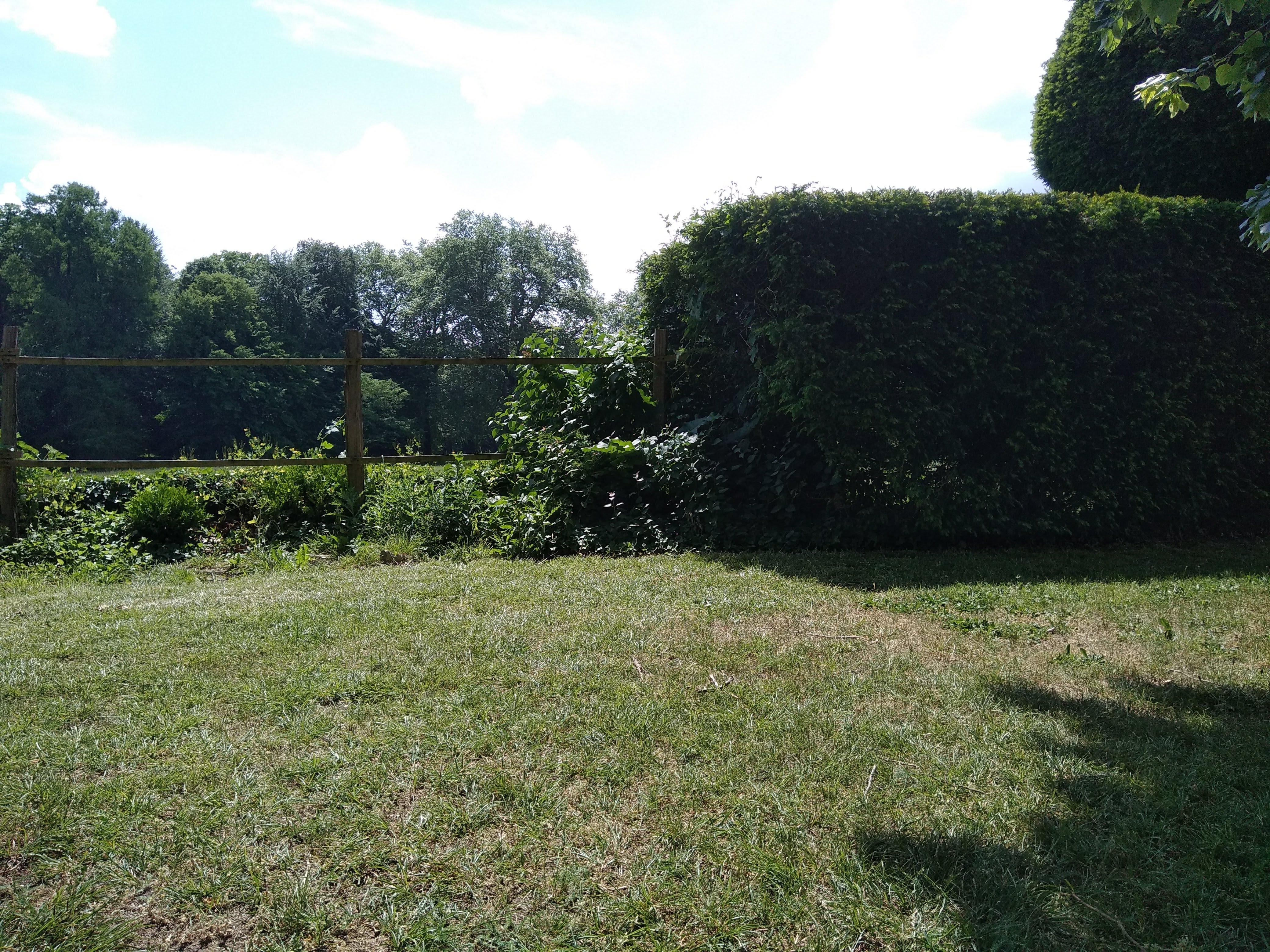 Photo n° 42 de l'avis de Rafaël. fait le 08/05/2018 à 11:48