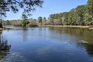 Spring Trails Lake image