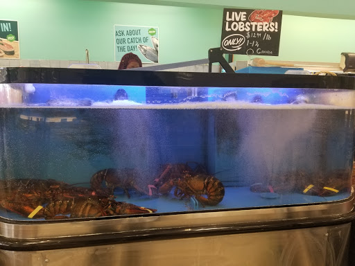 Supermarket «Best Market West Babylon», reviews and photos, 725 Sunrise Hwy, West Babylon, NY 11704, USA