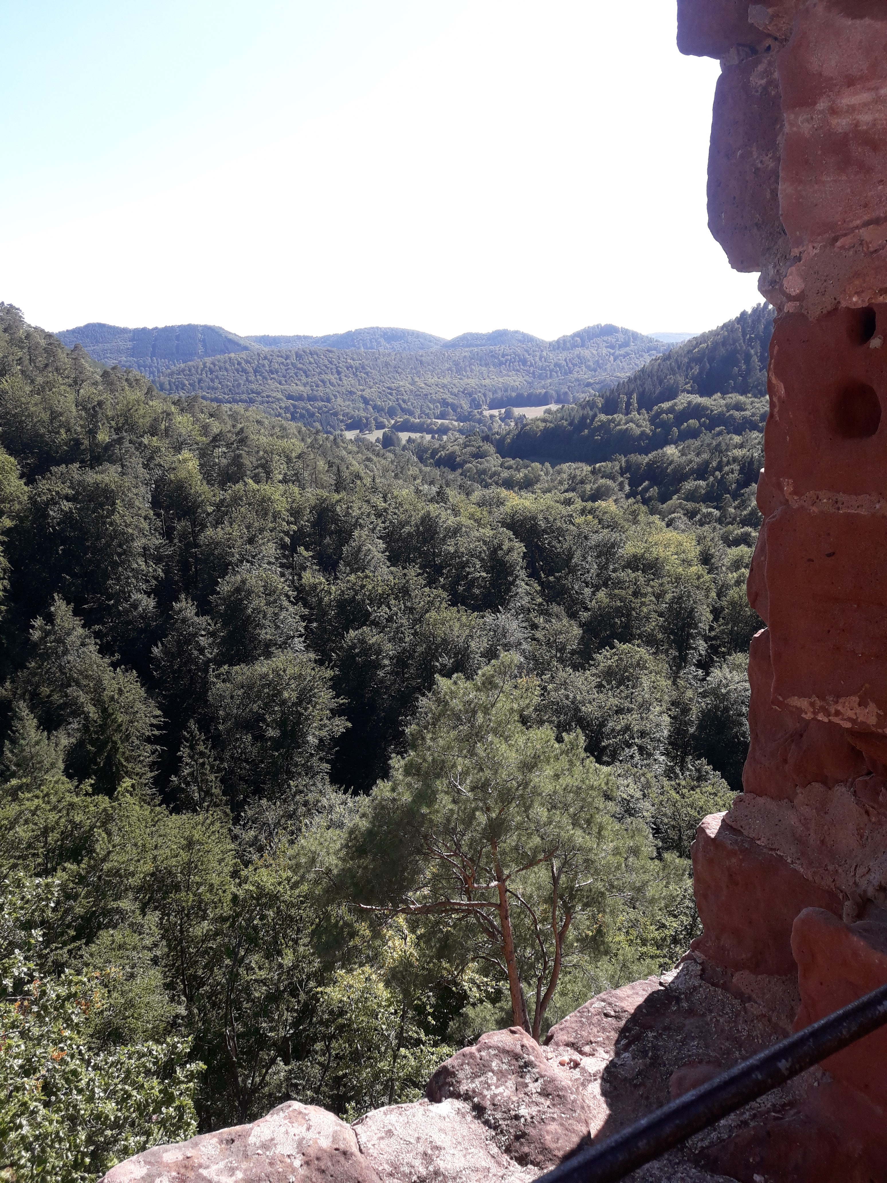 Photo n° 3 de l'avis de Renee.c fait le 05/09/2019 à 06:08