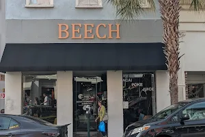 Beech image