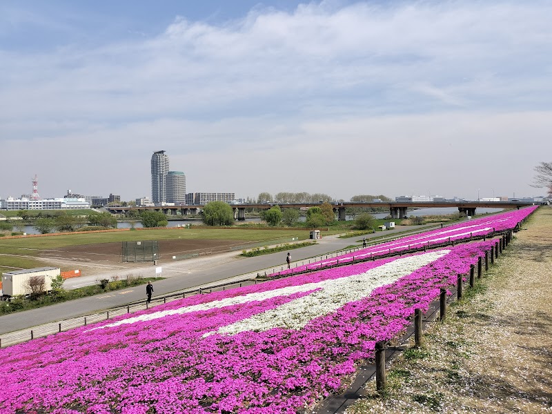 北区立新河岸川緑地