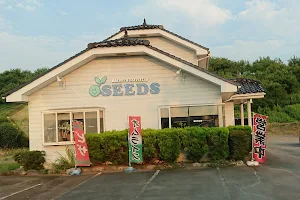 Seeds Italian Restaurant image