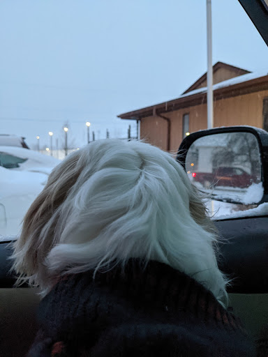 Car Repair and Maintenance «Japanese Automotive Service», reviews and photos, 4011 Wayne St, Hilliard, OH 43026, USA