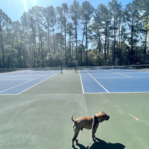 Park «Crestview Park», reviews and photos, 1600 Roland Dr, Mobile, AL 36693, USA