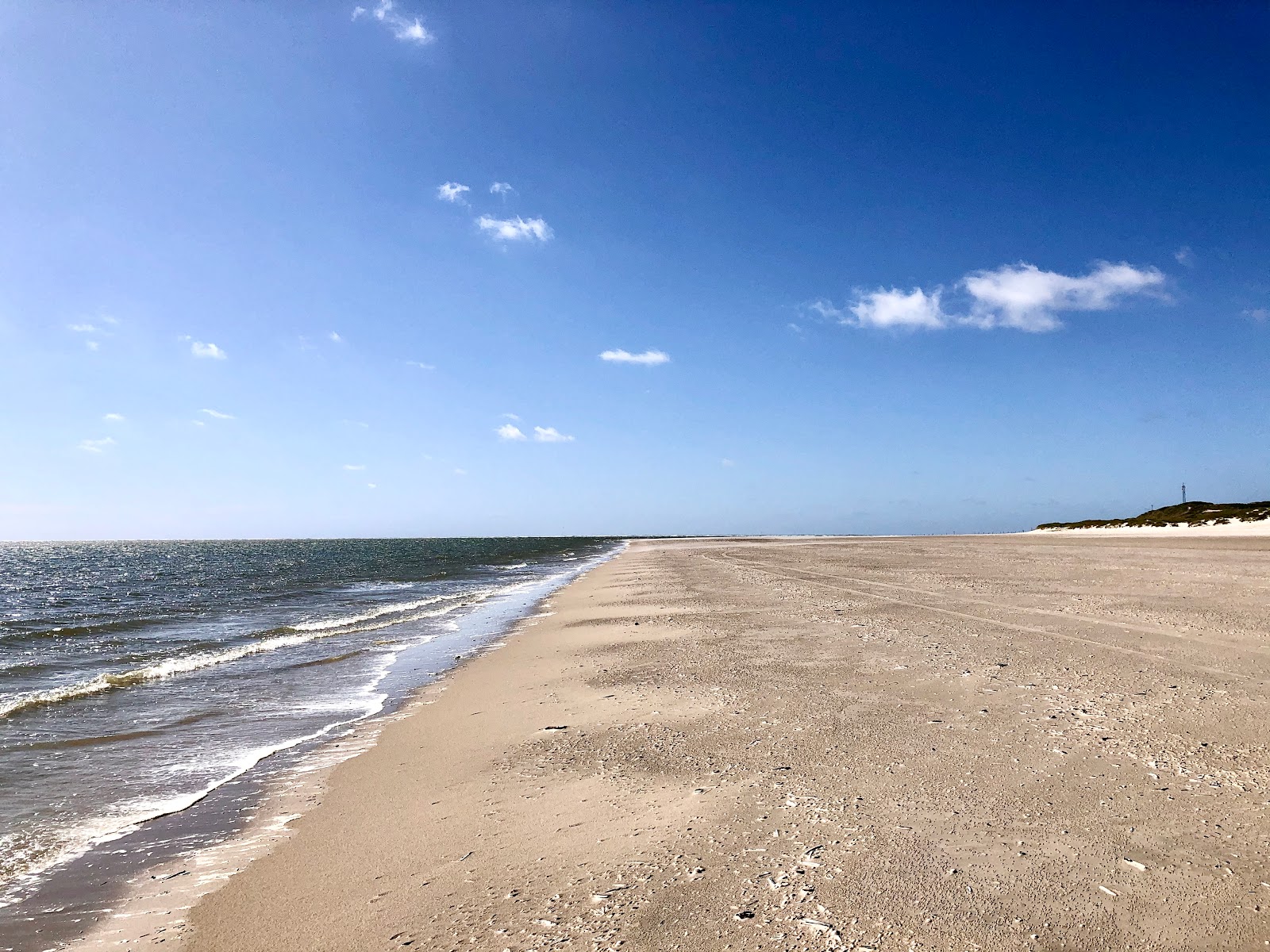 Fotografija Blavandshuk Beach z visok stopnjo čistoče