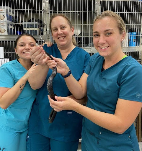 Animal Shelter «Humane Society of Ocean City», reviews and photos, 1 Shelter Rd, Ocean City, NJ 08226, USA