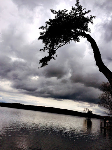 Golf Course «Pine Ridge Golf Course», reviews and photos, 2101 Dulaney Valley Road, Lutherville, MD 21093, USA