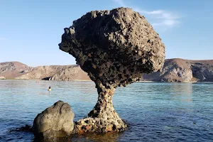 Balandra Mushroom Rock image
