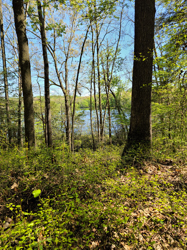 Park «Killens Pond State Park», reviews and photos, 5025 Killens Pond Rd, Felton, DE 19943, USA
