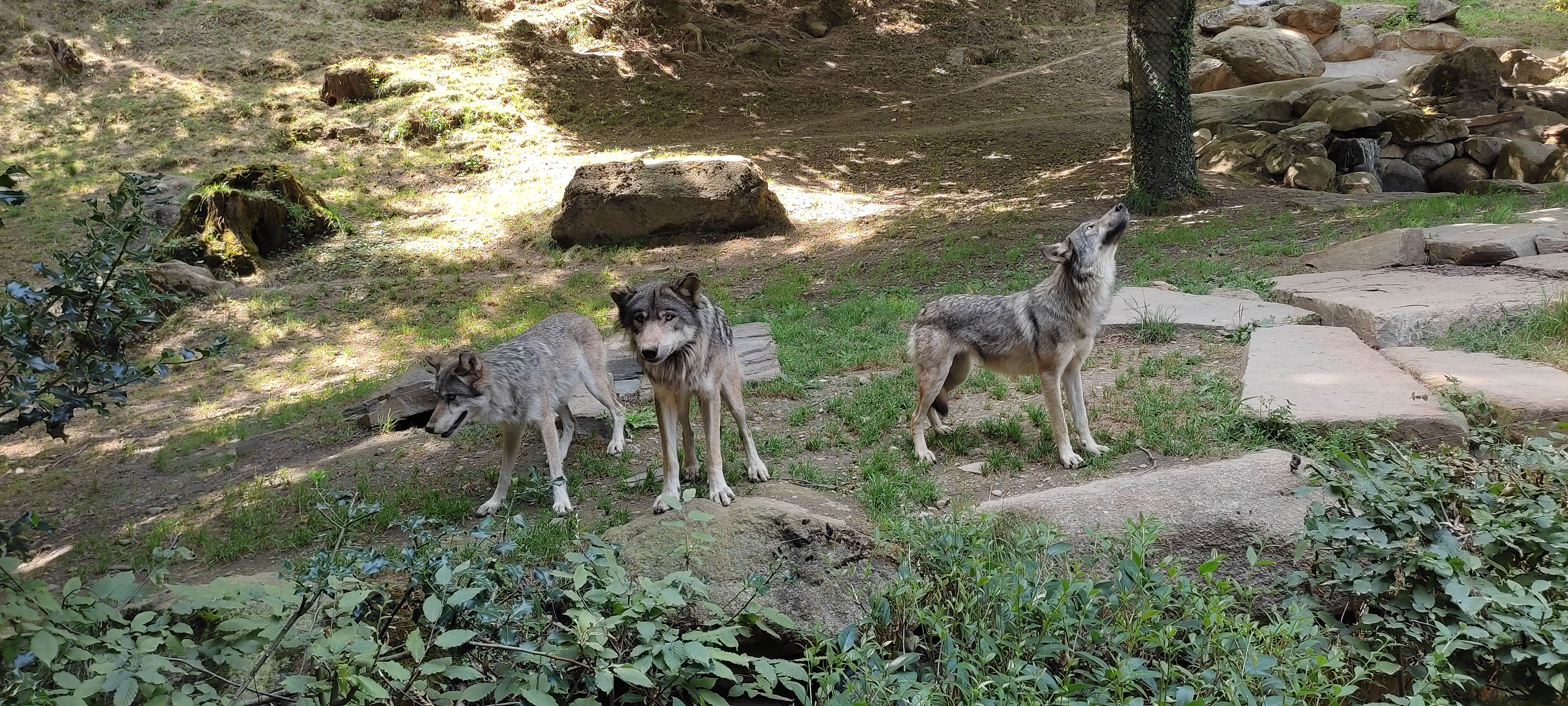 Photo n° 3 de l'avis de albane16.c fait le 16/07/2022 à 20:11