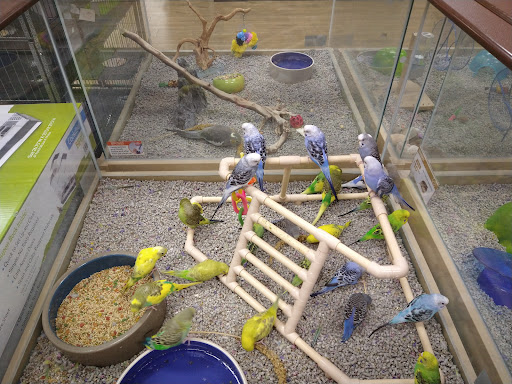 Pet Store «Petland», reviews and photos, 1514 Stonecreek Dr, Pickerington, OH 43147, USA