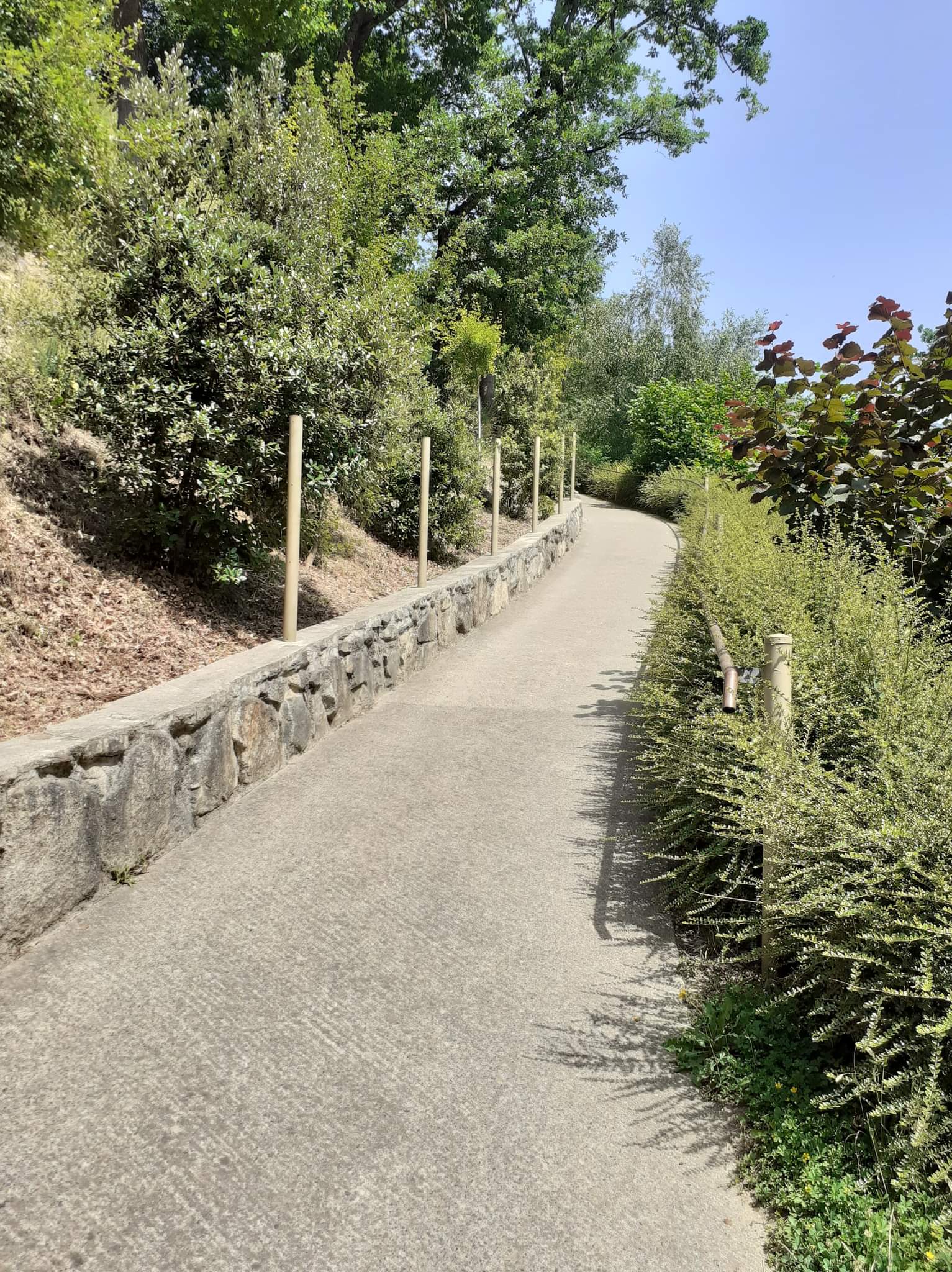 Photo n° 1 de l'avis de Dominique. fait le 18/06/2022 à 21:36