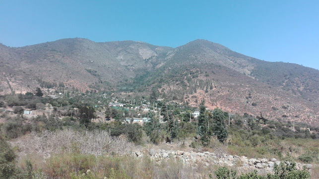 Tierra De Hoja - Centro de jardinería