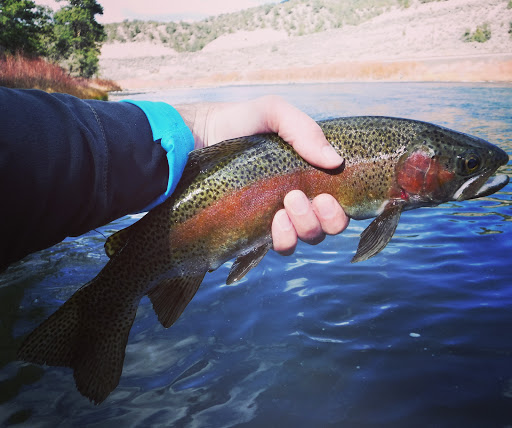 Fishing Charter «Fly Fishing Outfitters», reviews and photos, 1060 W Beaver Creek Blvd, Avon, CO 81620, USA