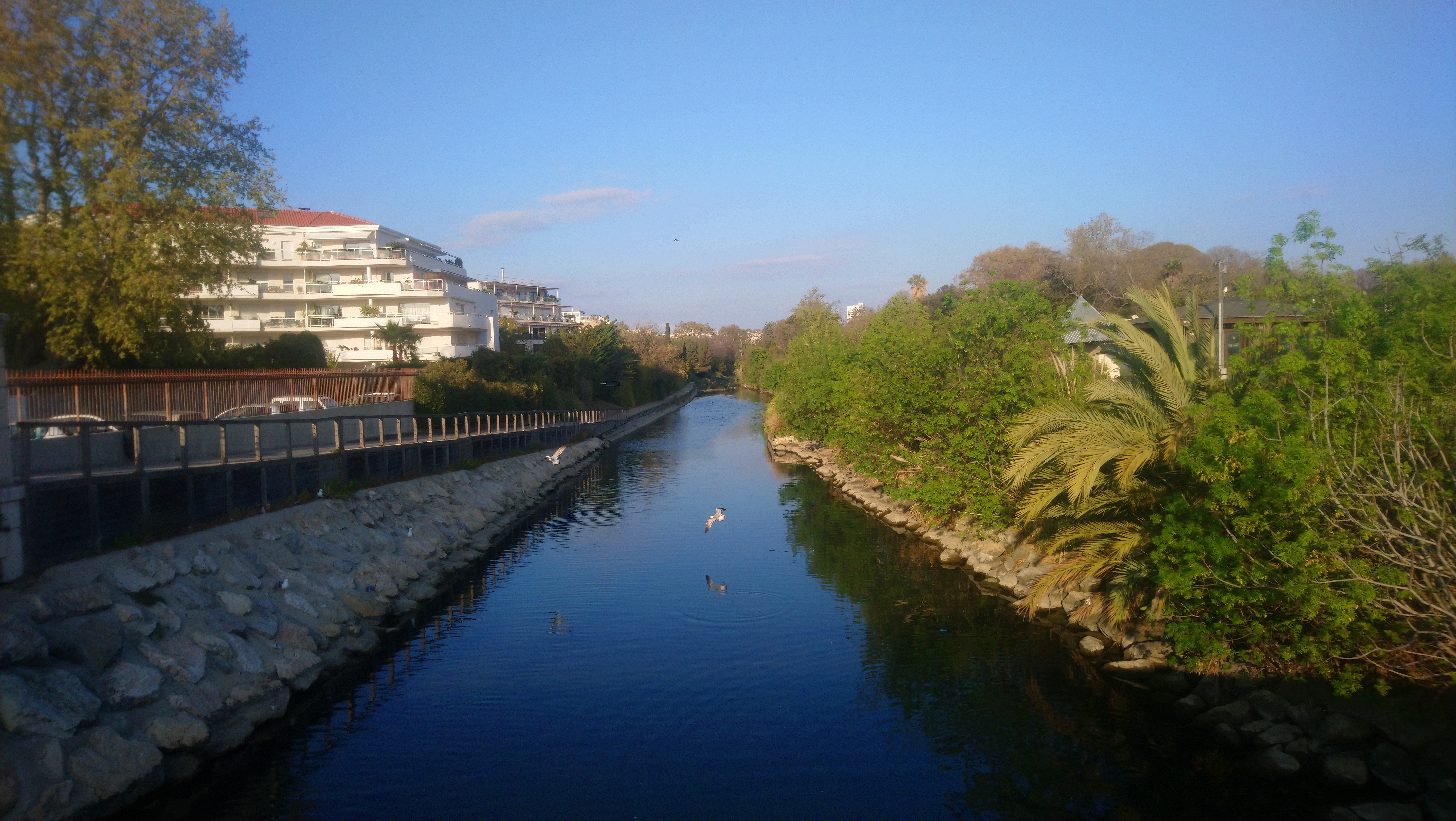 Photo n° 2 de l'avis de Marseille. fait le 10/04/2021 à 14:41
