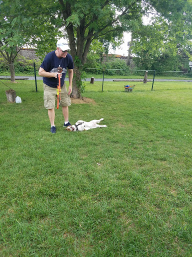 Pet Store «Abrams and Weakley General Store for Animals», reviews and photos, 3963 N 6th St, Harrisburg, PA 17110, USA