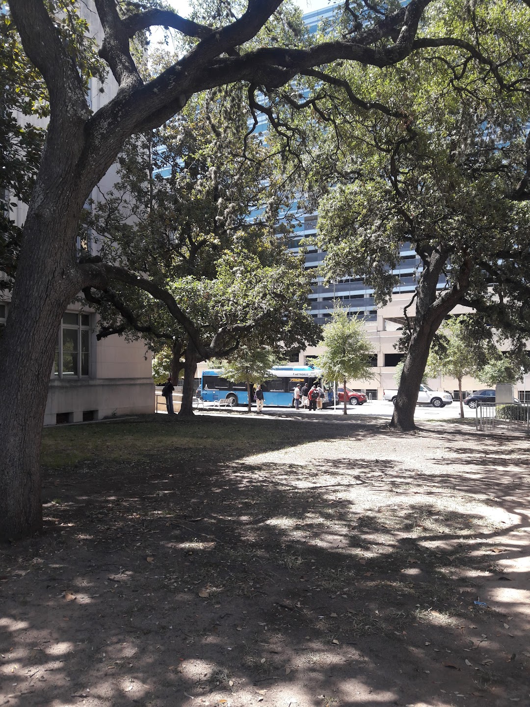 Austin History Center Station (NB)