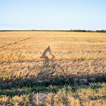 Photo n°7 de l'avis de Tommaso.r fait le 01/08/2023 à 19:04 sur le  Agriturismo Massari à Conselice