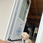 Photo n°1 de l'avis de Manu. fait le 19/03/2024 à 18:08 sur le  StrandResort Markgrafenheide à Rostock