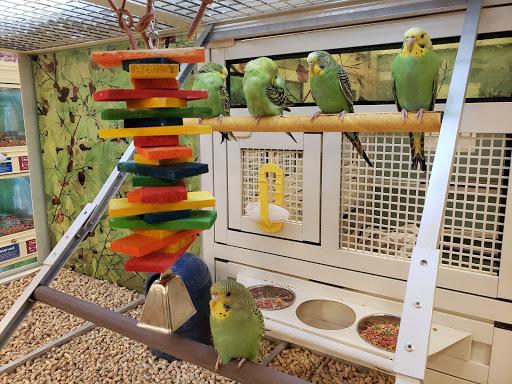 Pet Supply Store «PetSmart», reviews and photos, 13337 Worth Ave, Woodbridge, VA 22192, USA