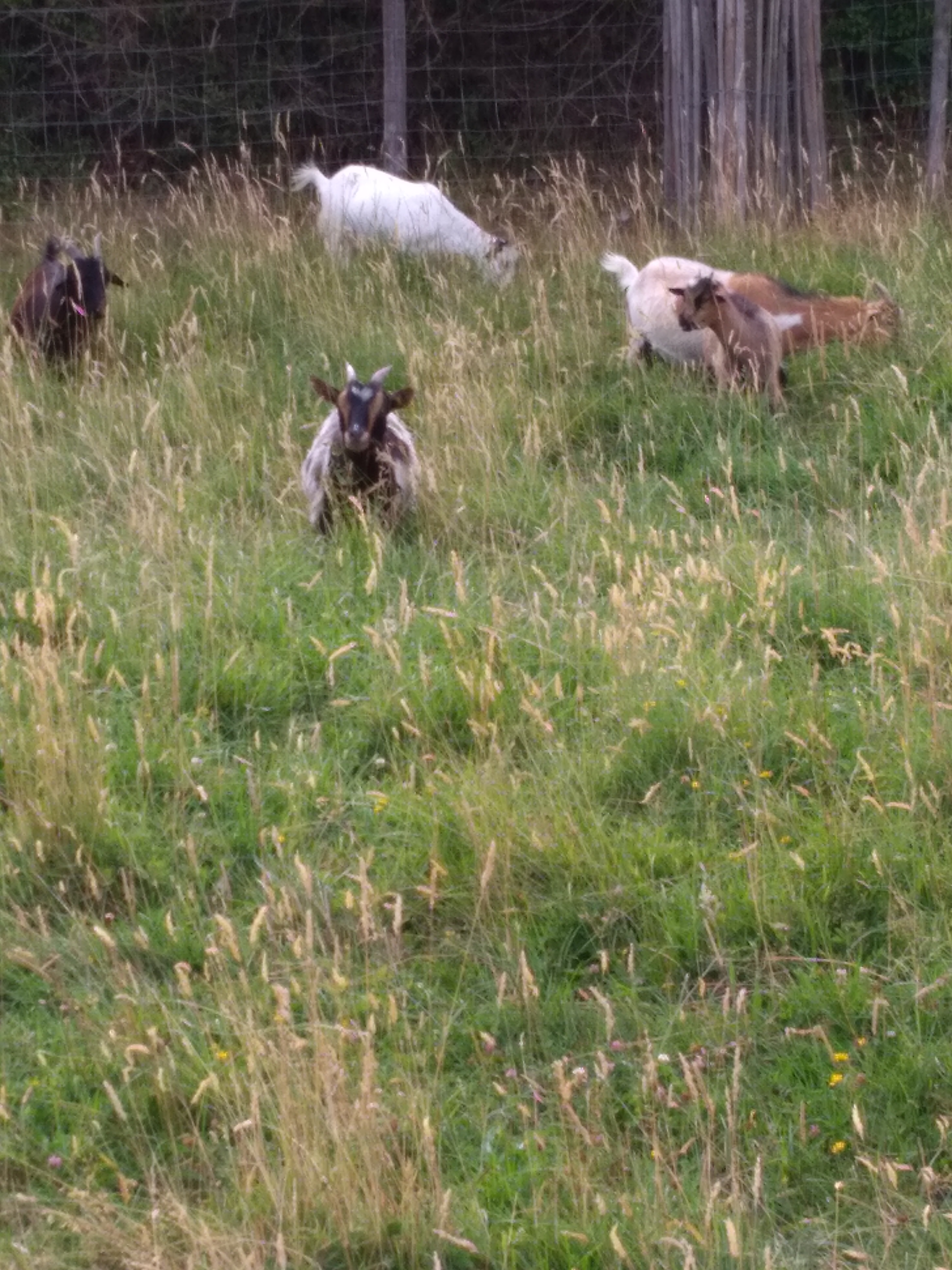 Photo n° 4 de l'avis de Katia.b fait le 17/07/2019 à 14:14