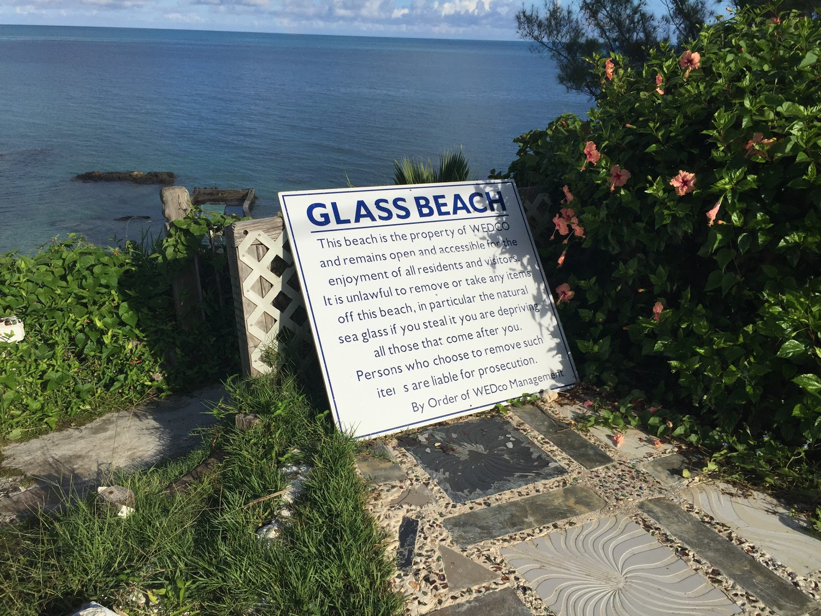 Glass Beach photo #8
