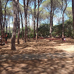 Photo n°1 de l'avis de Hakim.z fait le 07/07/2018 à 10:31 sur le  I Mille Bar Paninoteca à La Maddalena