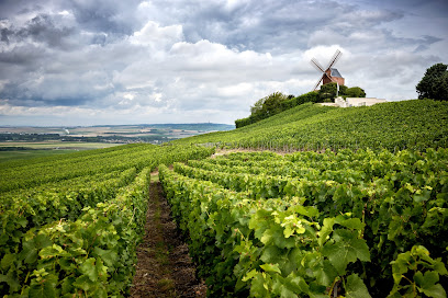 CHAMPAGNE STORY Reims