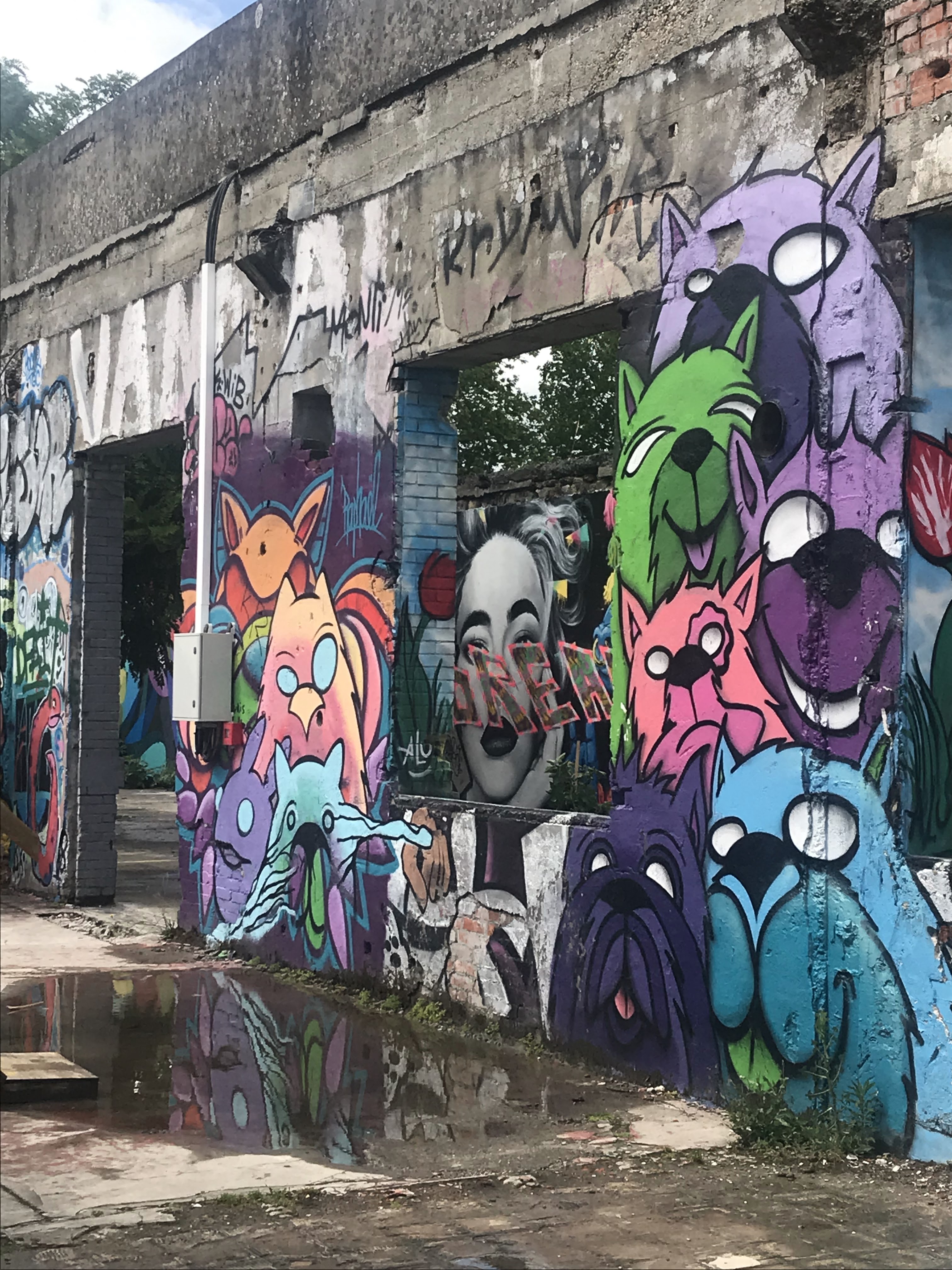 Photo n° 2 de l'avis de Dorien.e fait le 12/06/2019 à 14:47