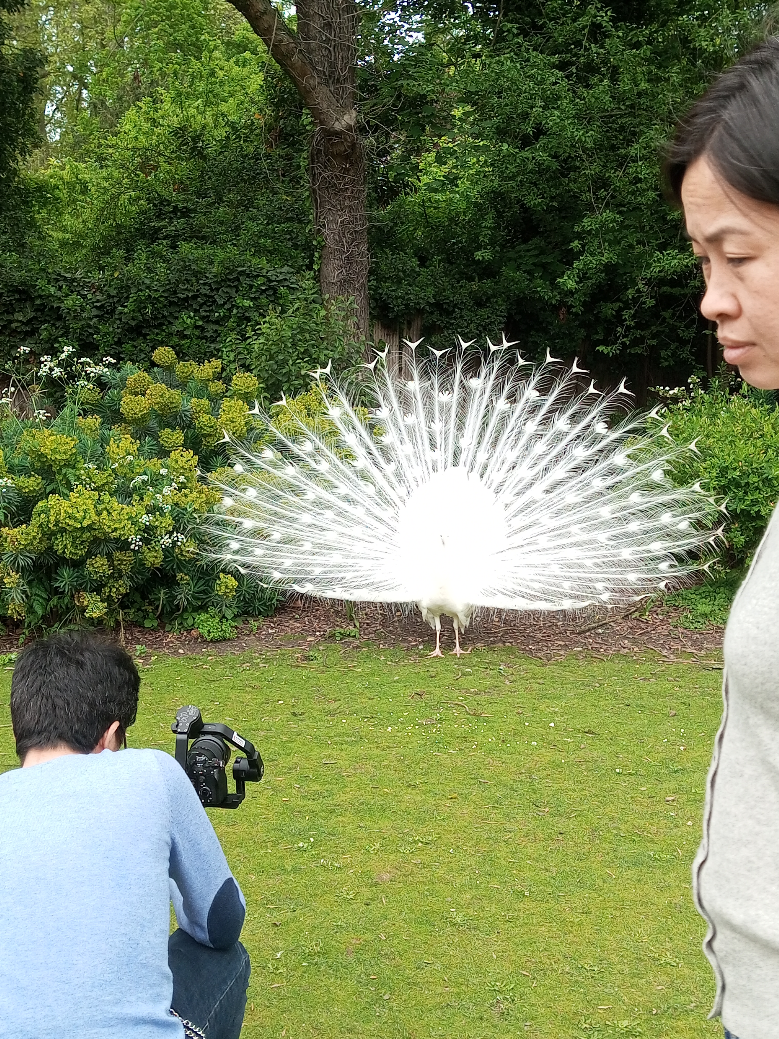 Photo n° 2 de l'avis de Eyram.l fait le 09/05/2023 à 11:46