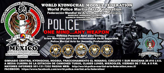 ASIAN MARTIAL ARTS INSTITUTE EL ROSARIO - Cto. Sur 1 16, El Rosario, 71246 El Rosario, Oax., Mexico