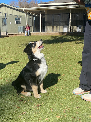 Friends of Animals Rice County