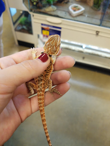 Pet Supply Store «PetSmart», reviews and photos, 9905 E Independence Blvd, Matthews, NC 28105, USA