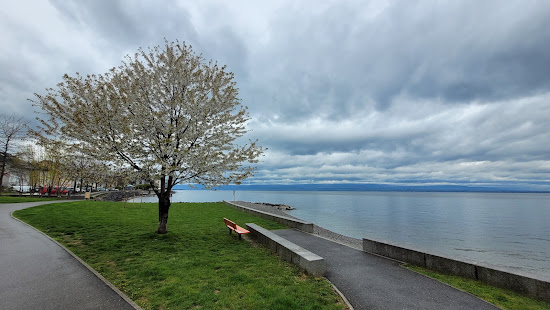 Plage de Grande Rive