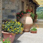 Photo n°1 de l'avis de Grazia.a fait le 03/06/2021 à 22:45 sur le  Ristorante Il Caio à Corbara