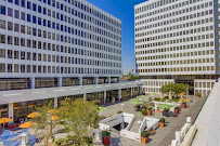 Ellis & Ellis CPAs, Inc. - Photo 3 - Car repair in Pasadena, CA, Pasadena